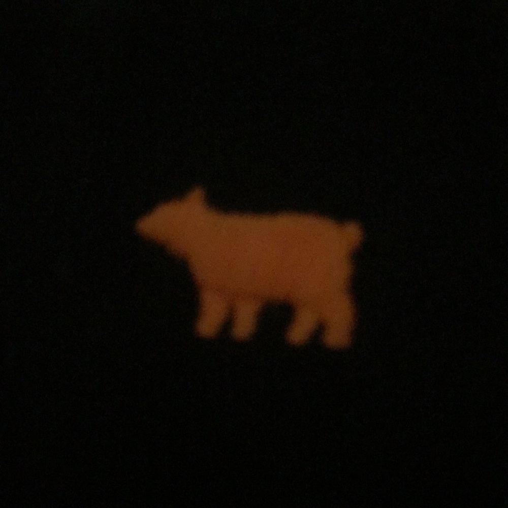 Boys jacket - Picture 4 of 5